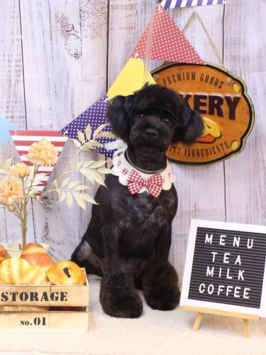 20240908レアくん